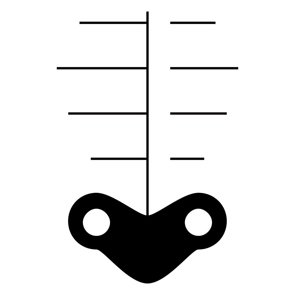 Skeleton
