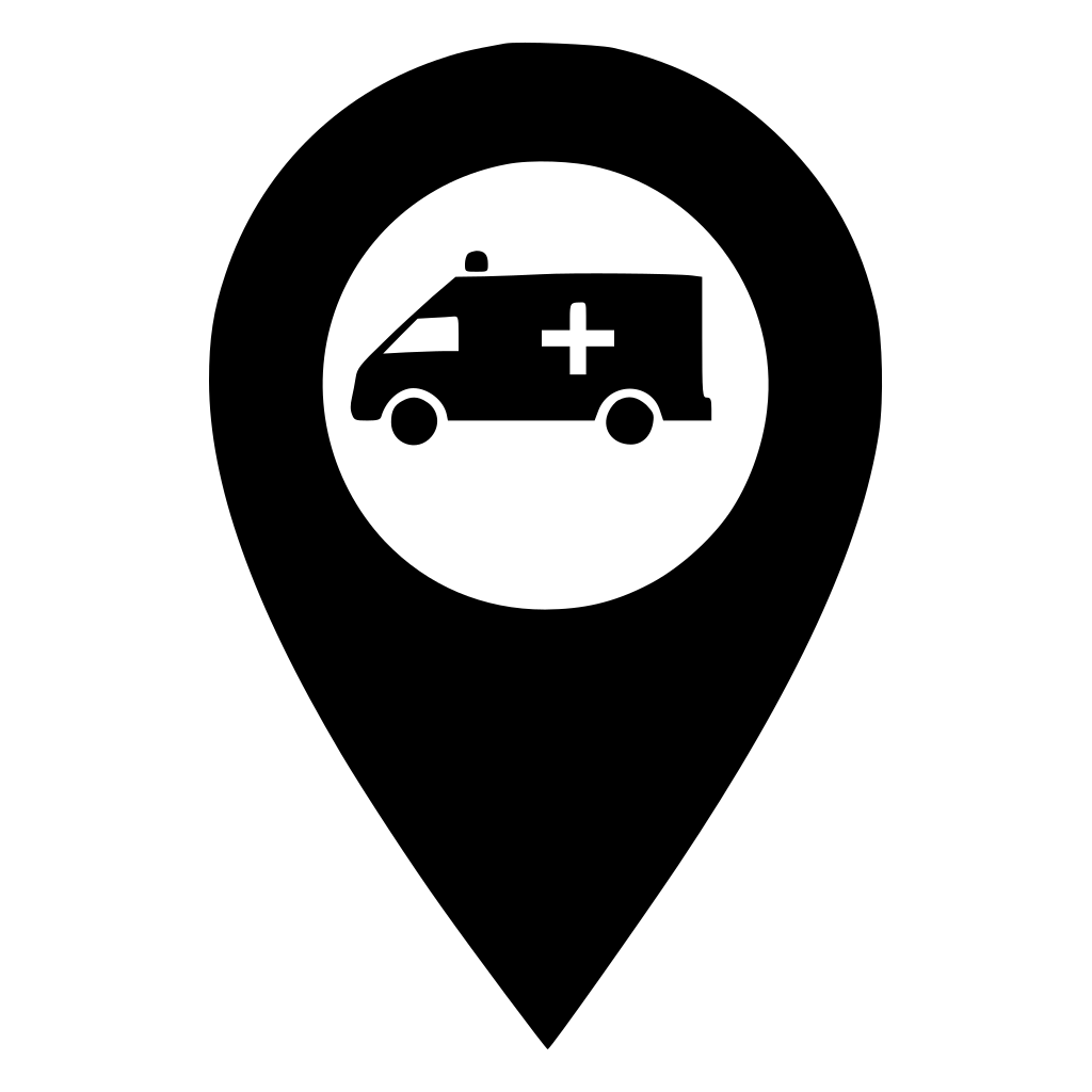 Ambulance Pin