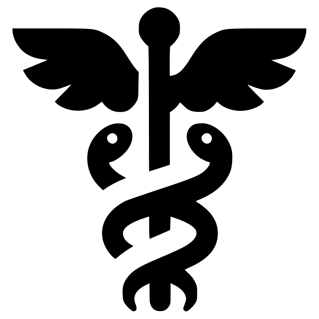Caduceus Mercury Snake Wings