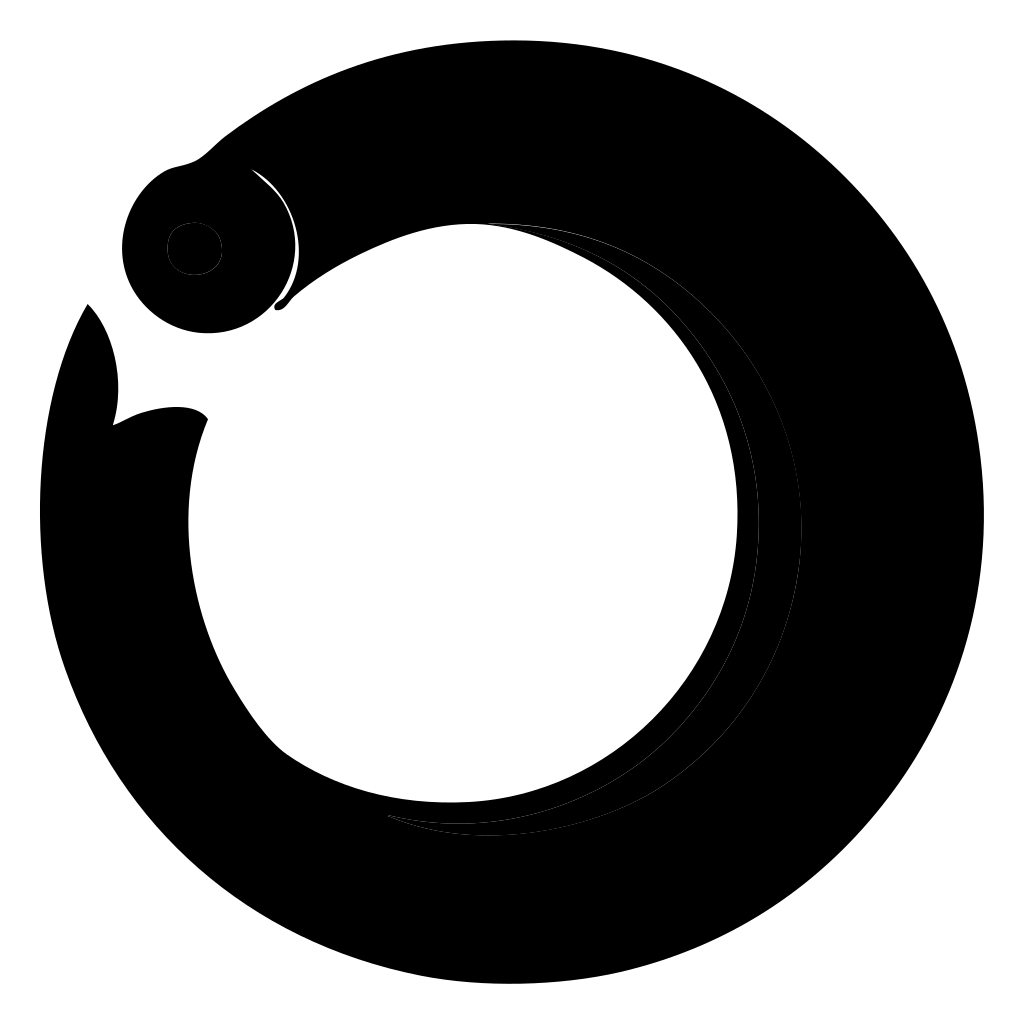 Oray Replication