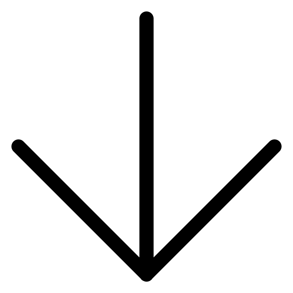 Lower Back