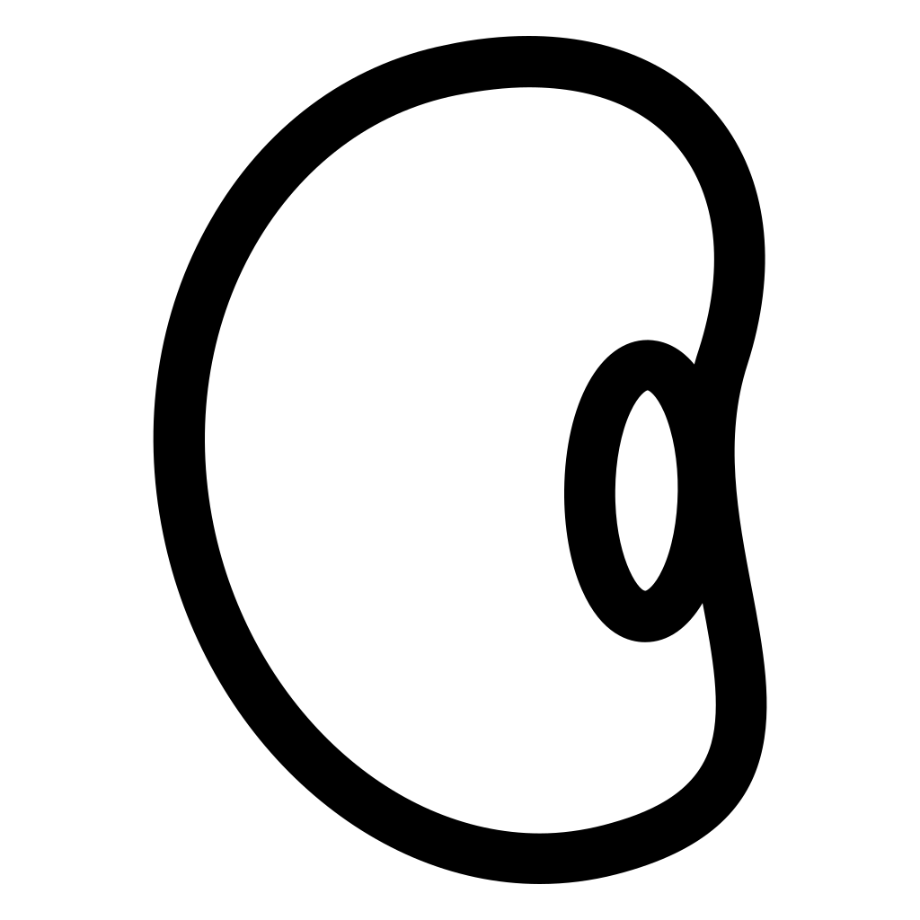 Cyclotomic Fields